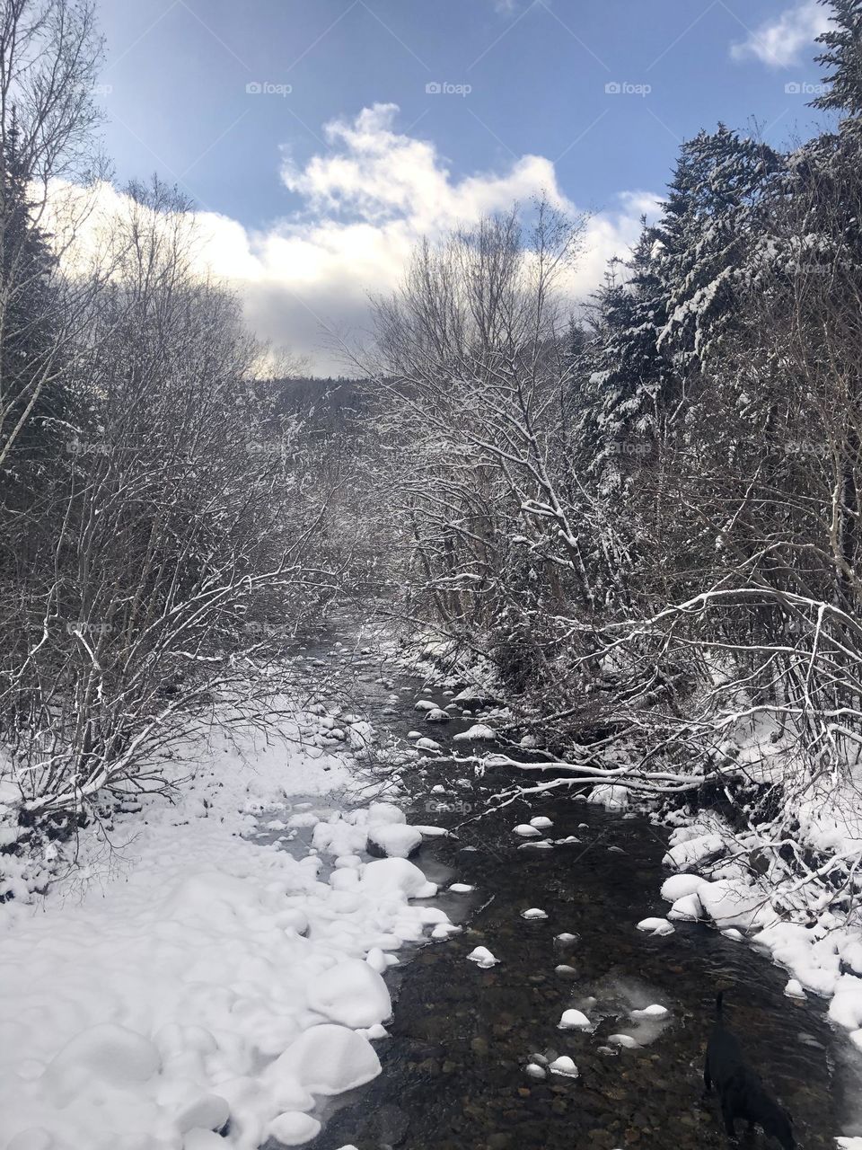 Calm after the storm