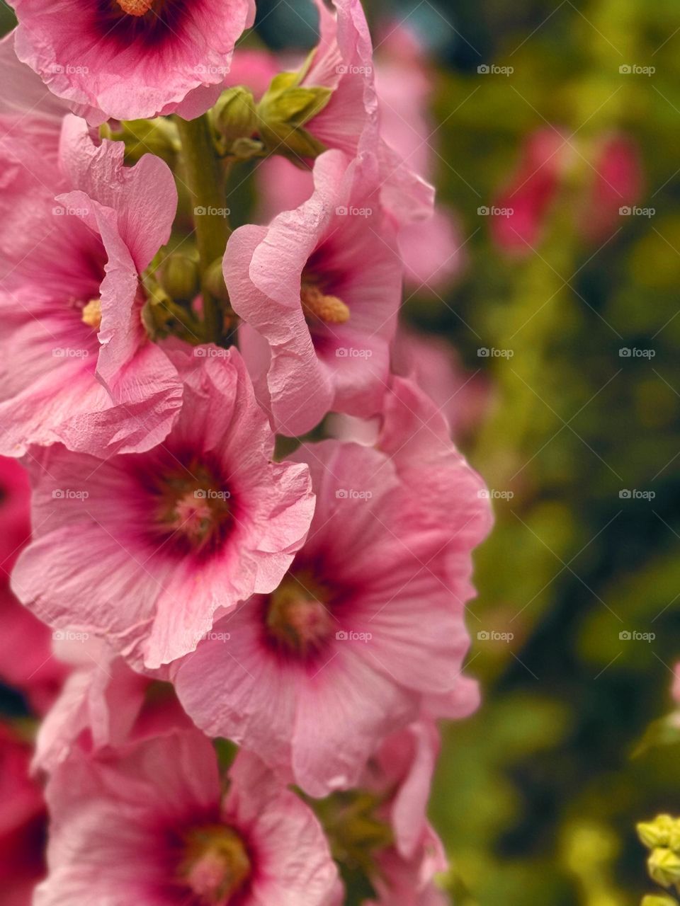 A time of warmth and tenderness