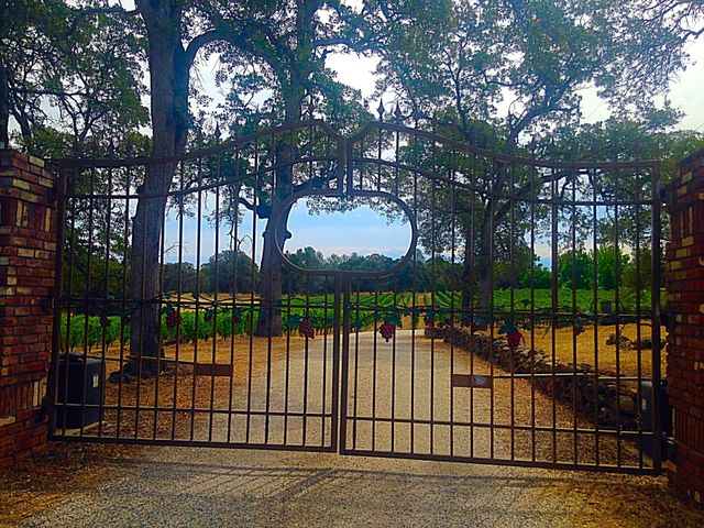 Gates of heaven