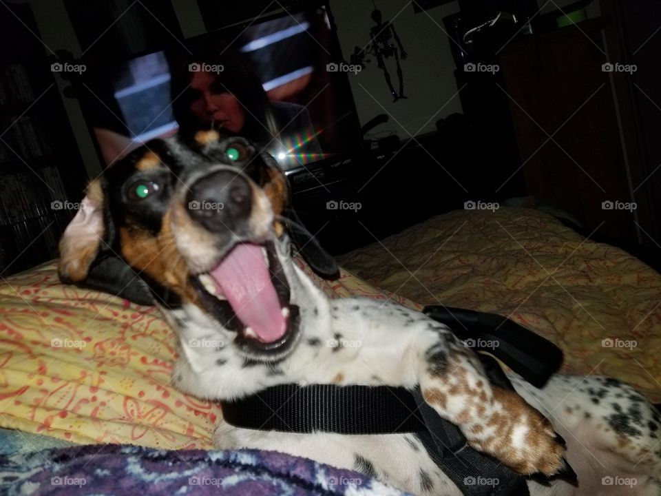 *yawn* mom it's time to sleep