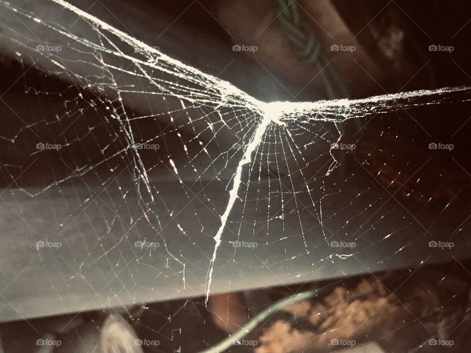 Symmetrical beautiful white spider web 