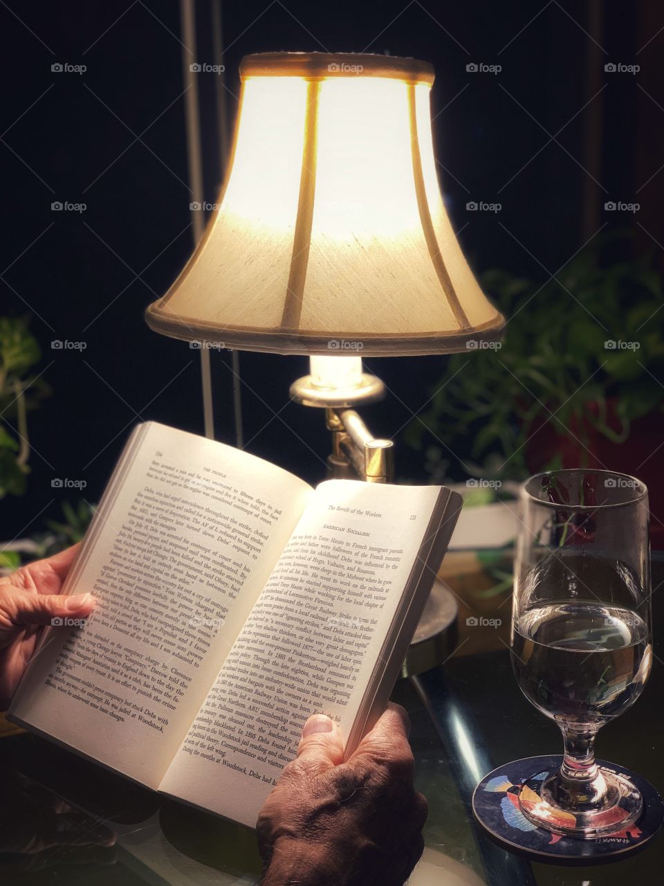 A man holding reading a book using lampshade. Glass in the table and plants in the window.