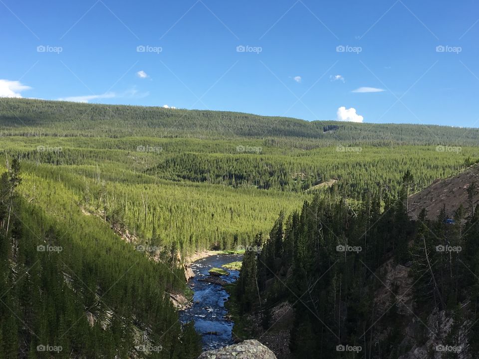 Yellowstone River Valley: Beautiful summer time at Yellowstone 
