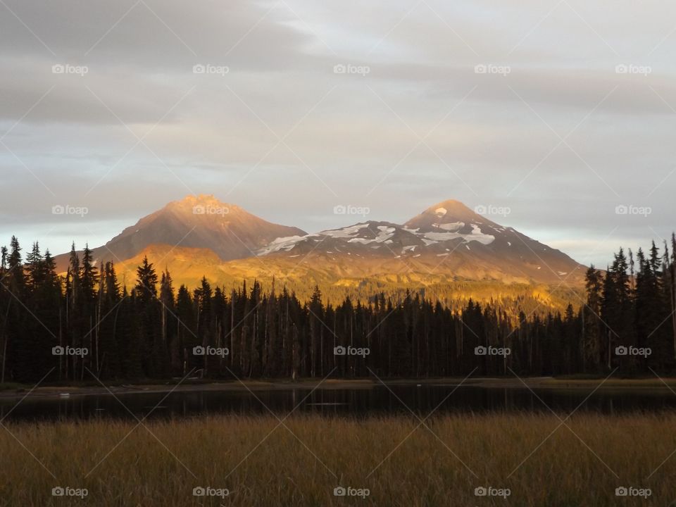 Scenic view of trees during sunset