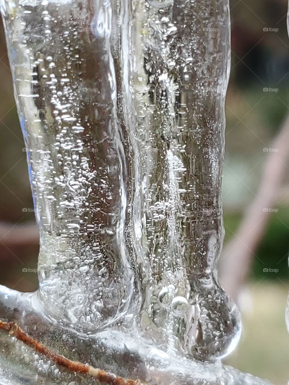 Abstract nature- icicles that look like legs