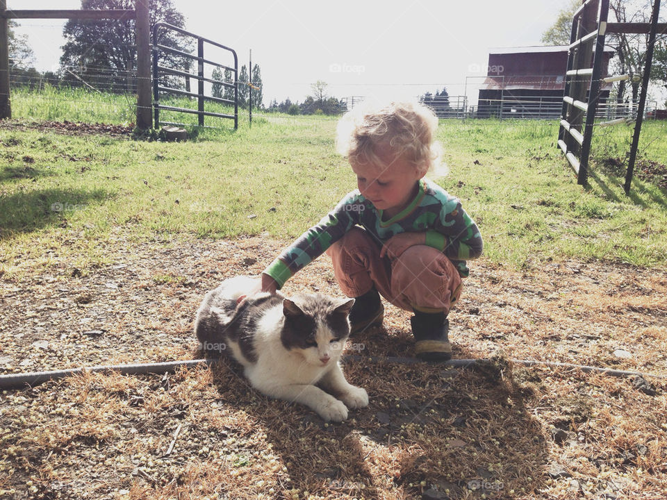 Little Boy Petting a Cat