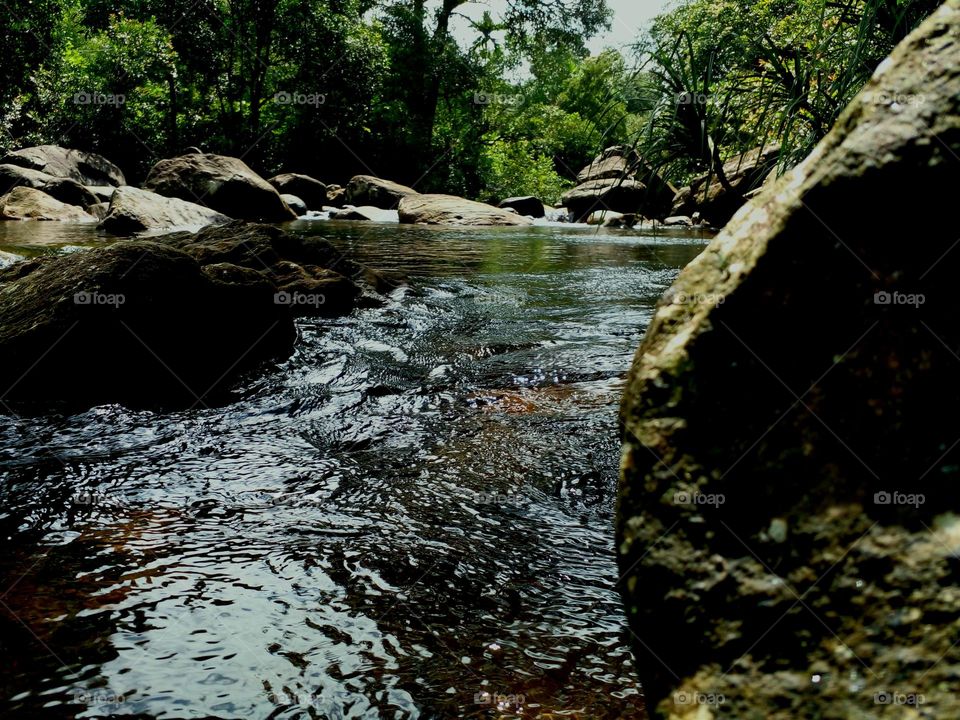 naturelove, river picture, beautiful picture, dark background