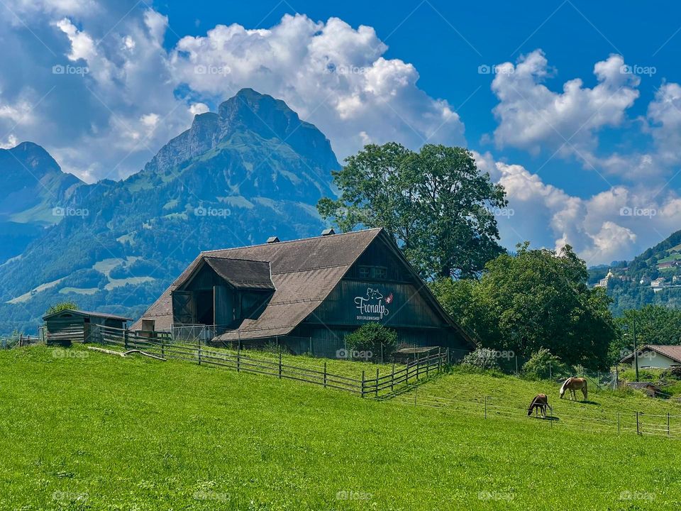 Home in the mountain 