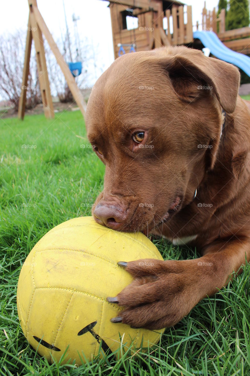My Ball