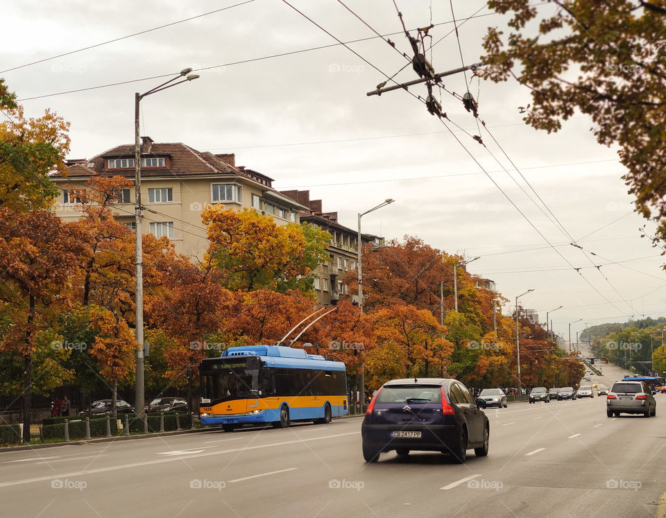 Autumn in the busy city