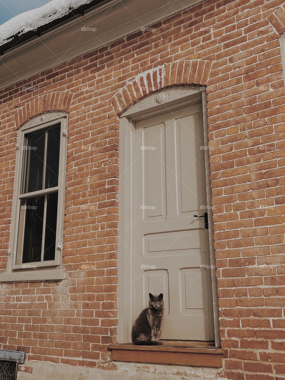 Cat on farmhouse step