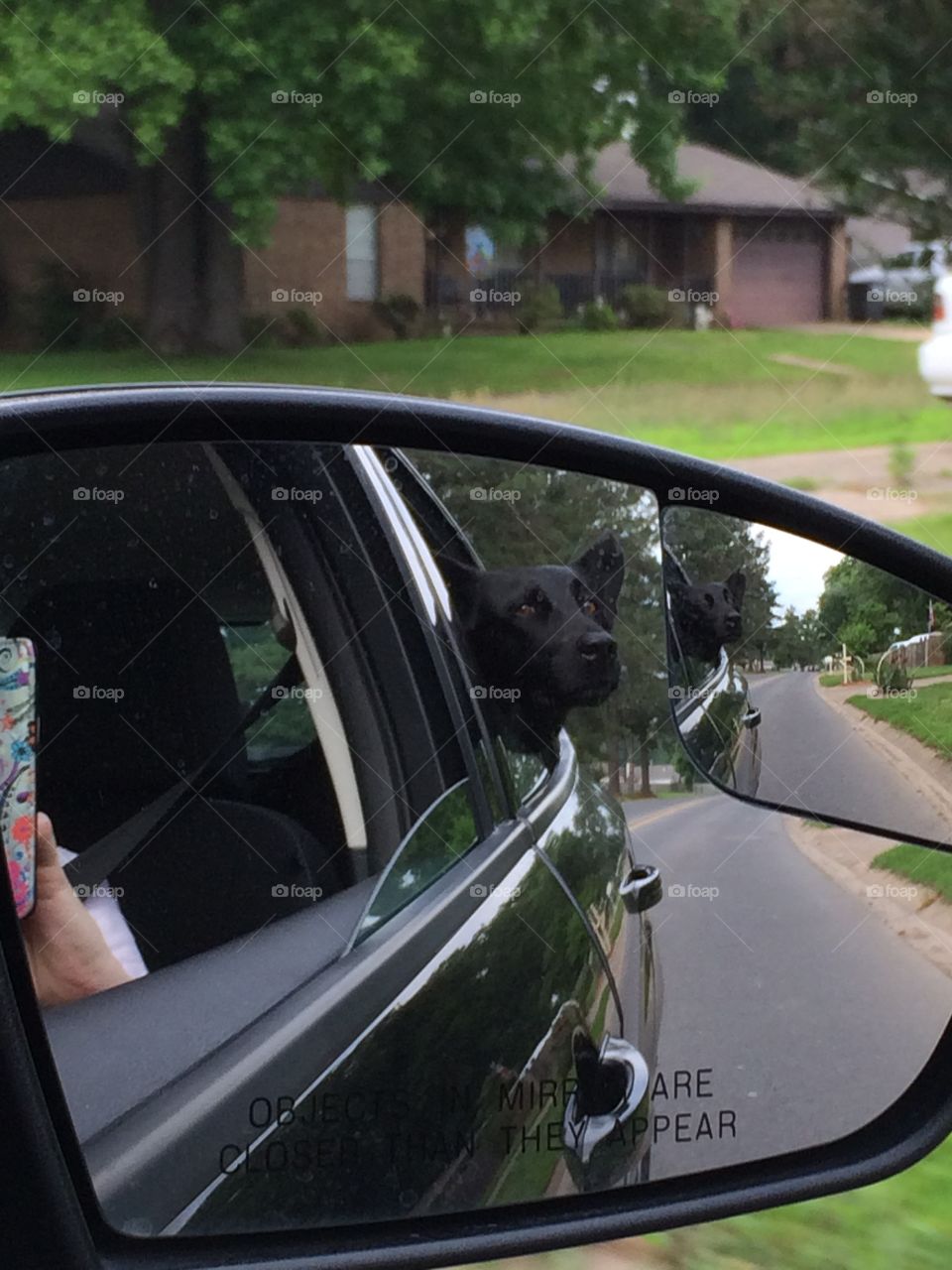 Car ride for Leesa!. Leesa loves her car rides!