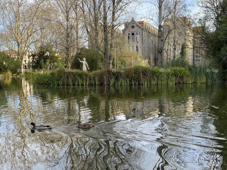 Urban Nature water