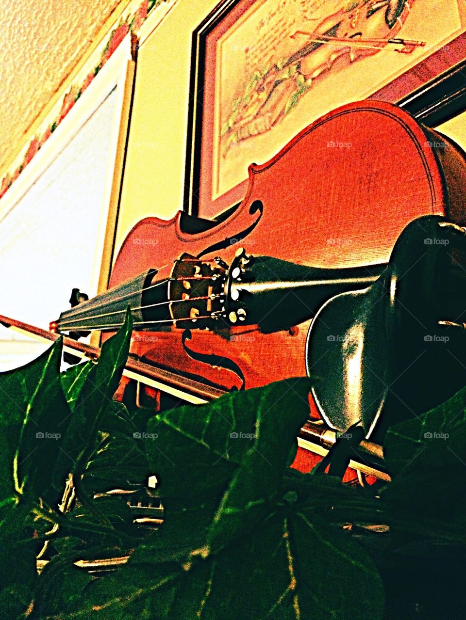 Violin on the wall