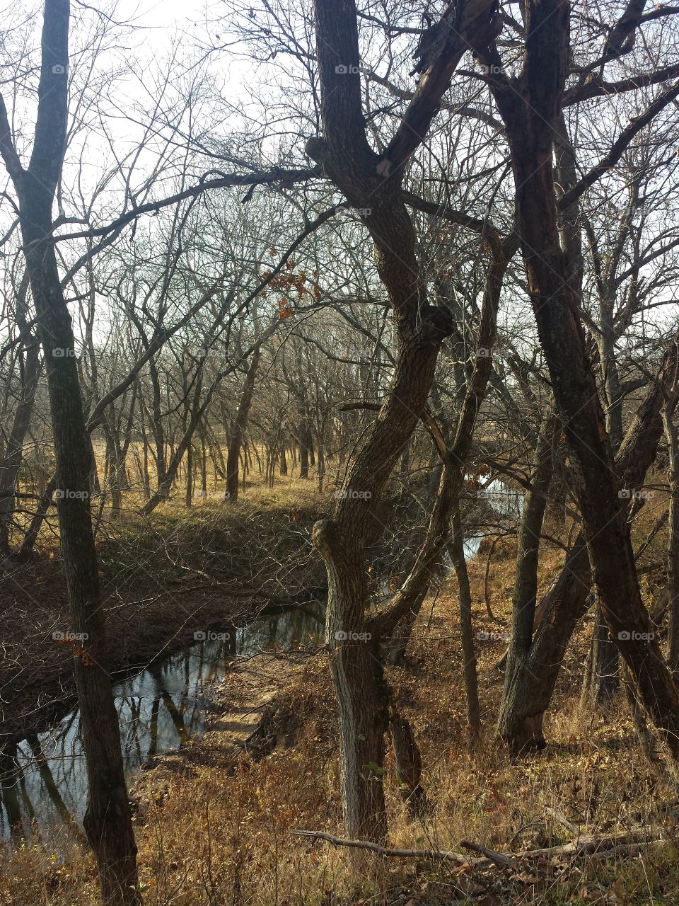 monkey mountain views