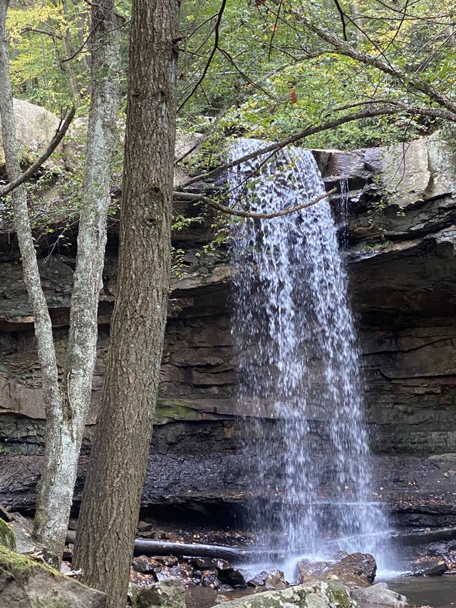 Waterfall 