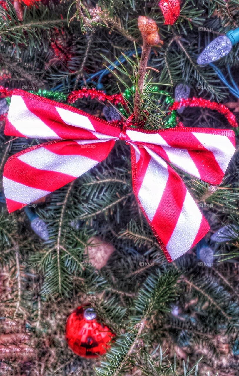 Striped Festive Holiday Bow