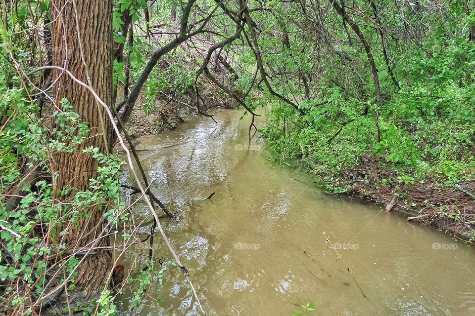 Creek