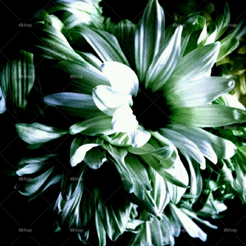 peacefulness. lighting effects