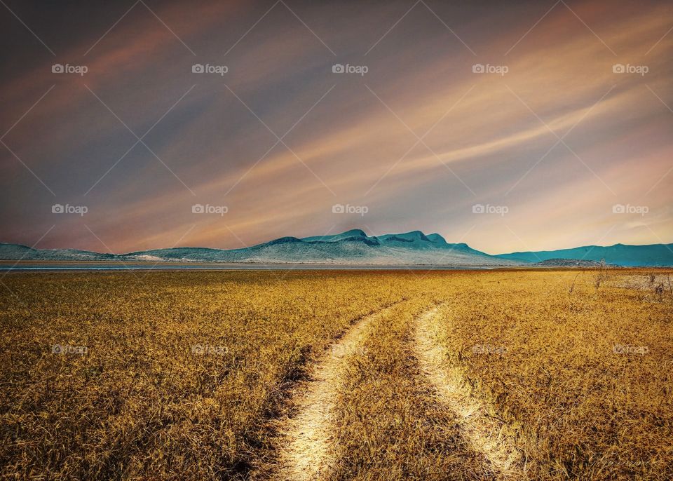 Sunset and Road