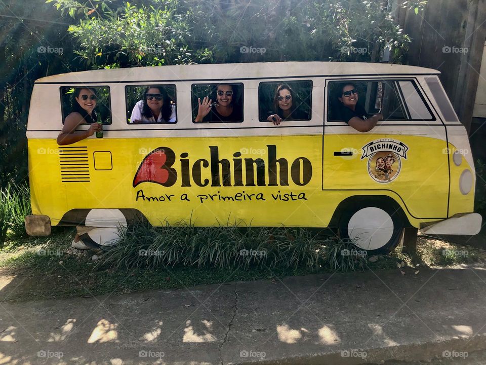 Kombi. Bichinho. MG.