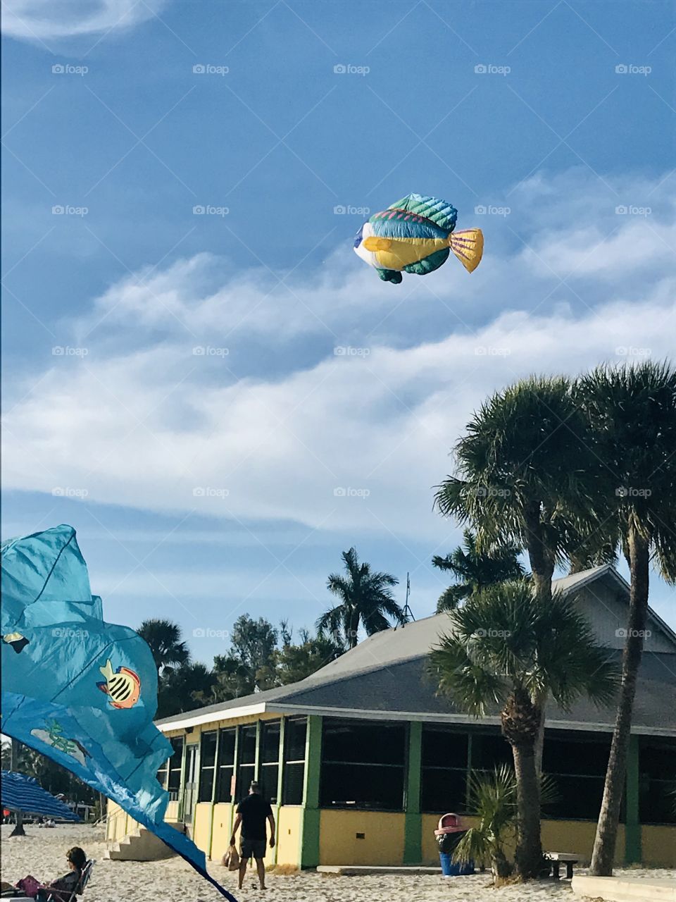 Fish kite