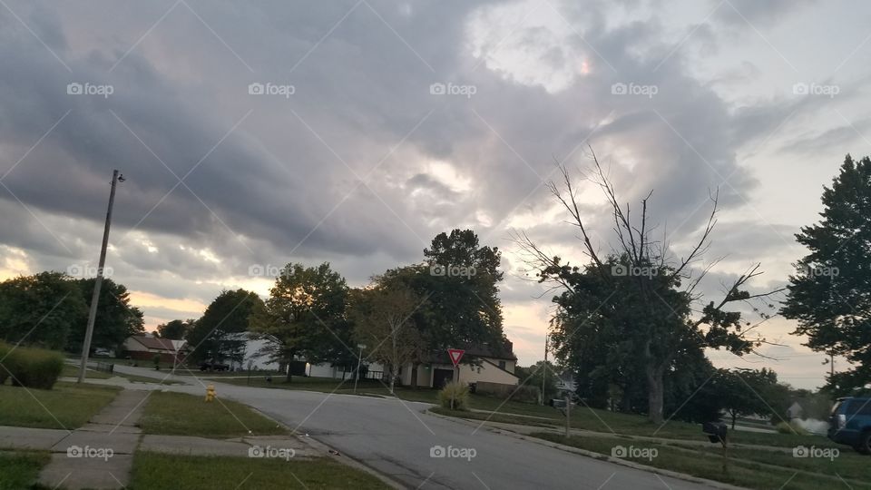 Road, No Person, Tree, Travel, Landscape