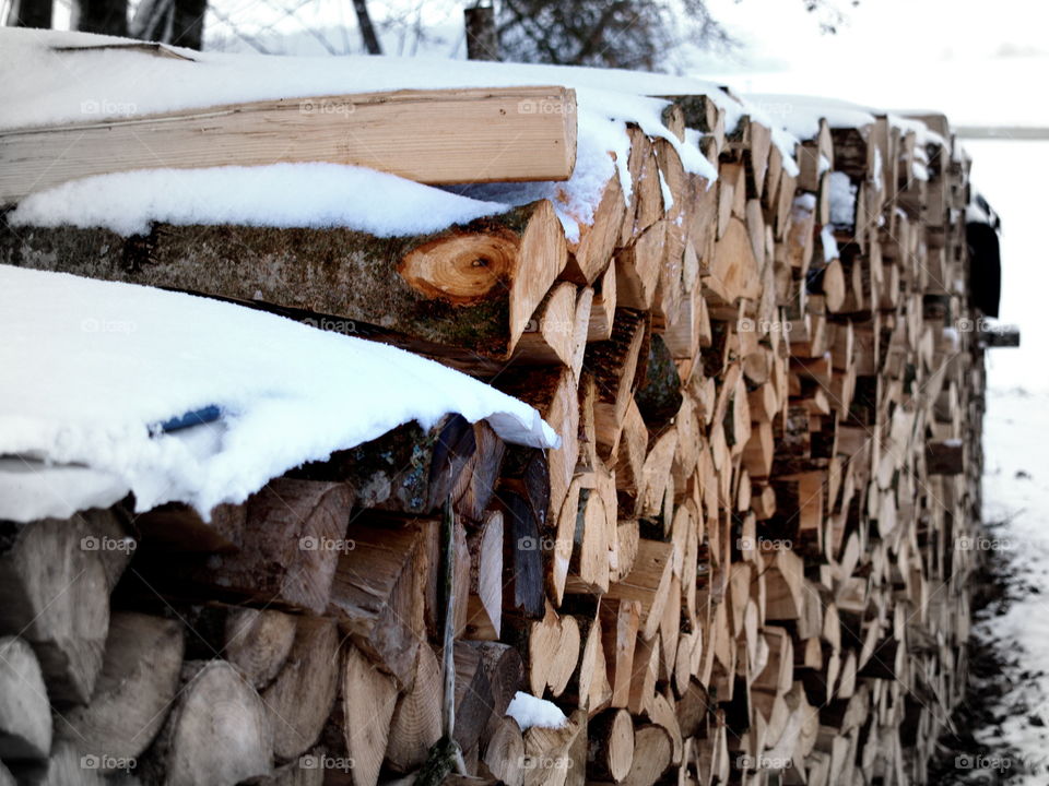 wood in winter with snow
