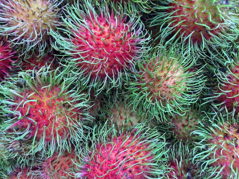 Rambutan