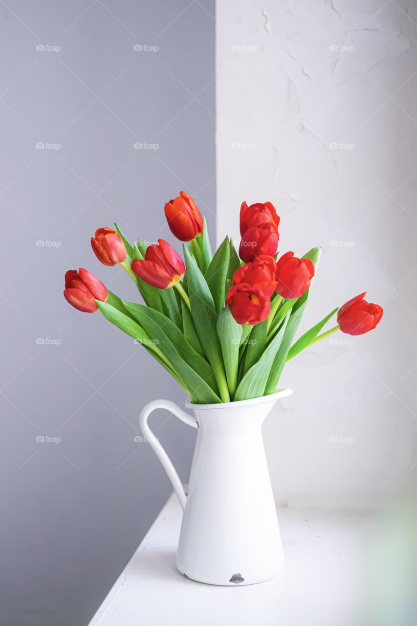 Bouquet of red tulips in white vase on white background 