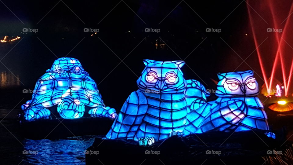 Brilliant blue animals make their way into Discovery River during Rivers of Light at Animal Kingdom at the Walt Disney World Resort in Orlando, Florida.