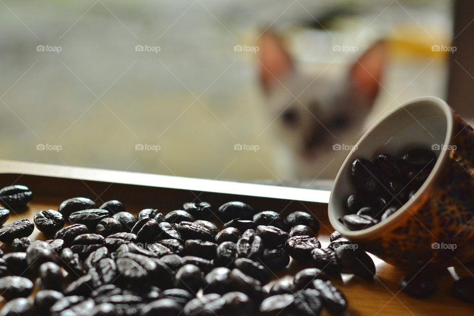 Coffee beans
