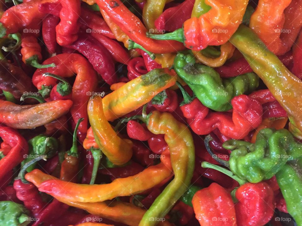 Full frame of colorful chilies