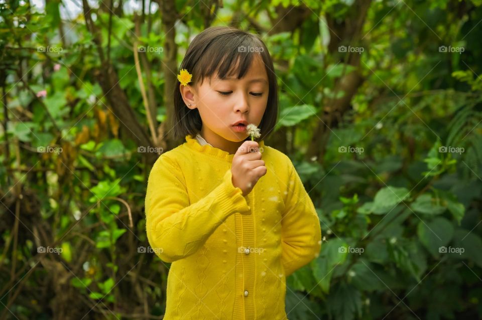In spring season there are plenty of things in nature to amuse little kids, a little girl blowing a dandelion globe.