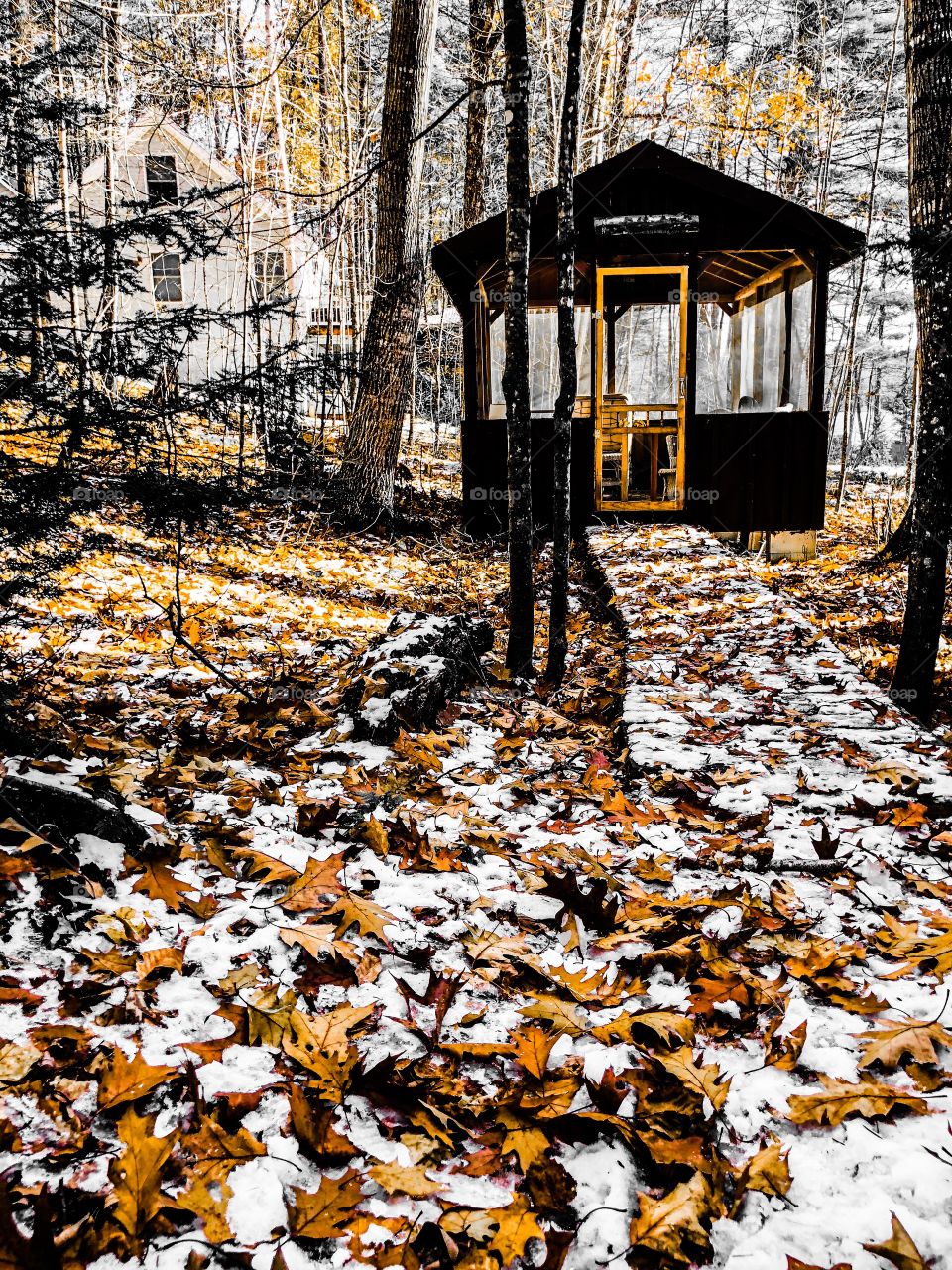 Serene, Silent, Cold