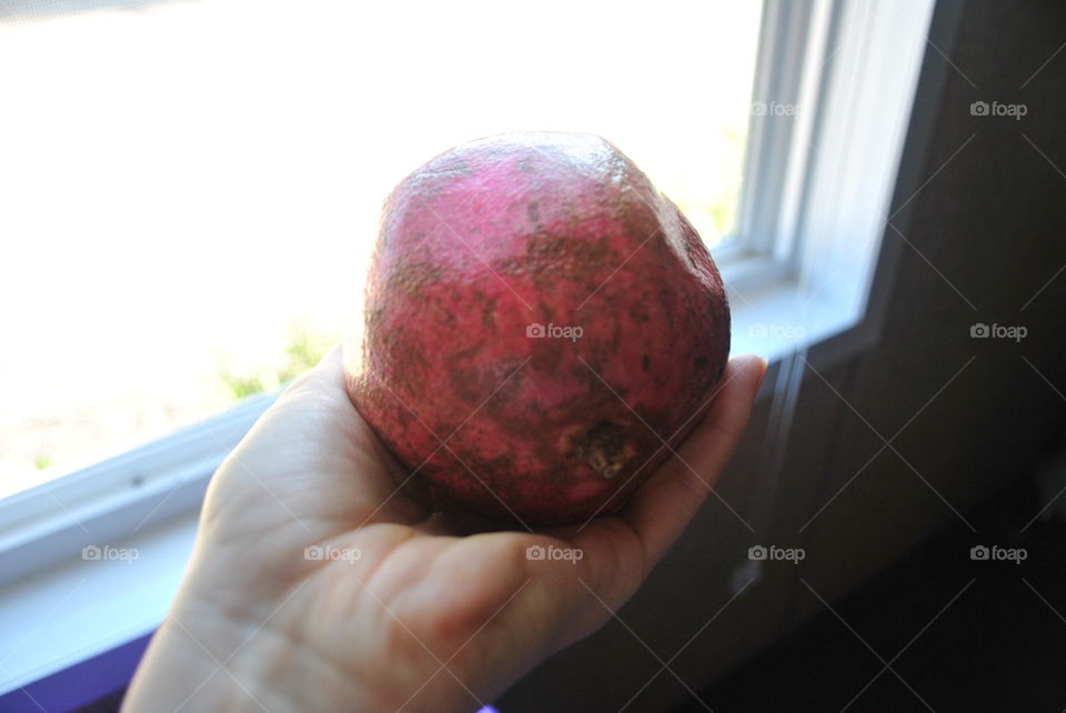 Holding a pomegranate