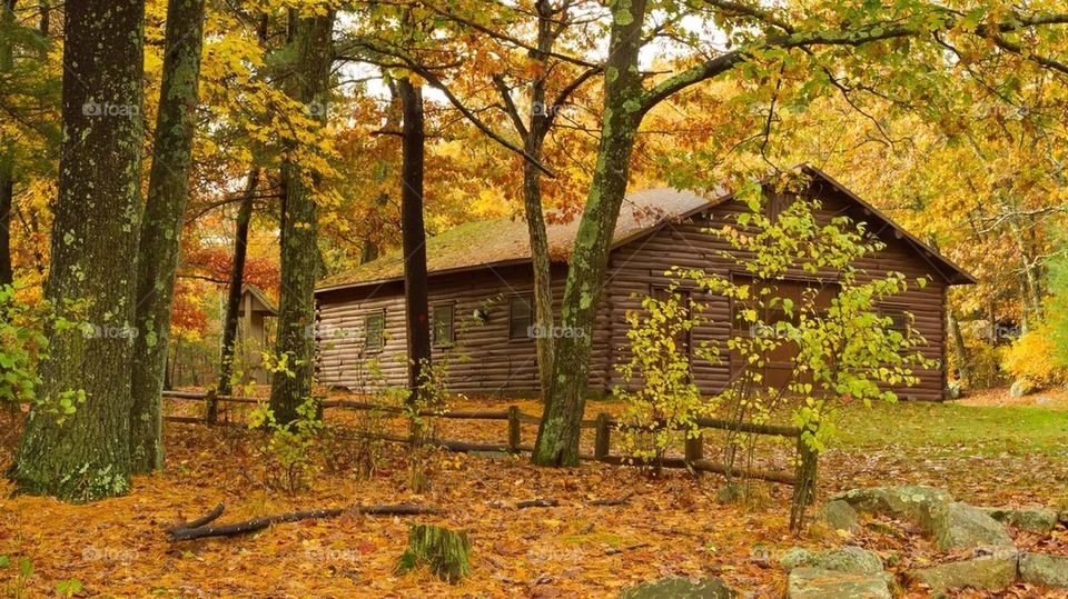 Cabin at Rocky Woods