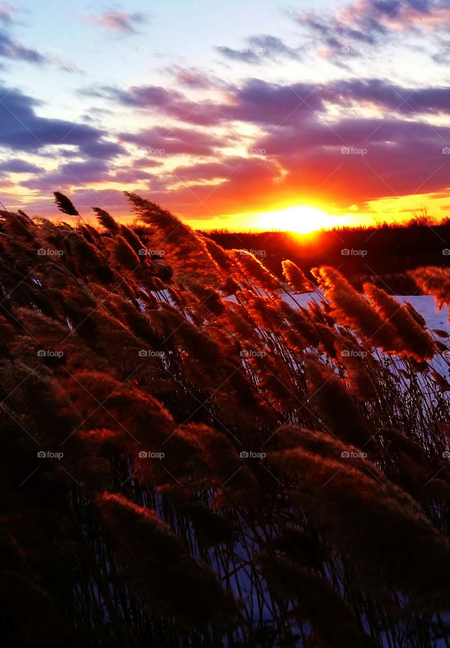 sunset Nebraska