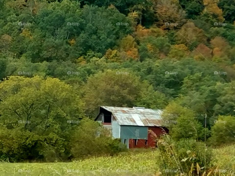 Driving the Back Roads and enjoying everything around us