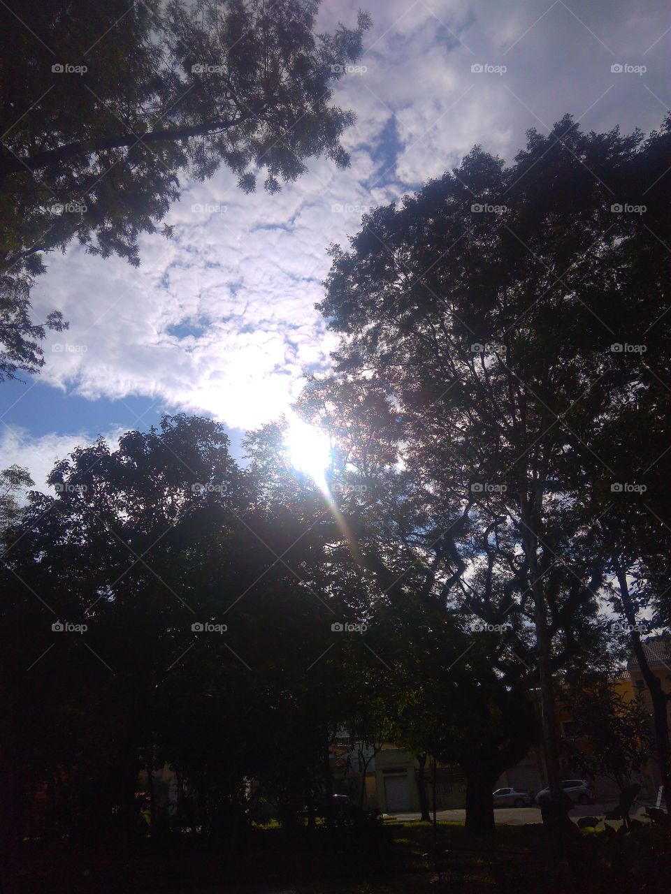 Céu e sol