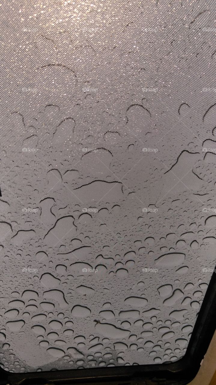 rain drops