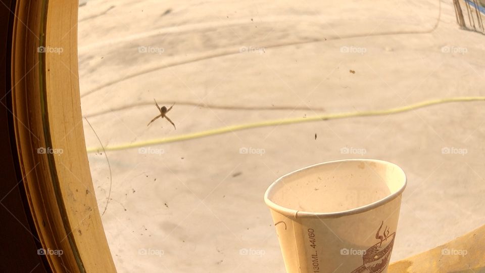 🕷 i think he is trying to drink my tea