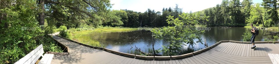 Panorama of an area at the base of Lenox Mountain in MA. 