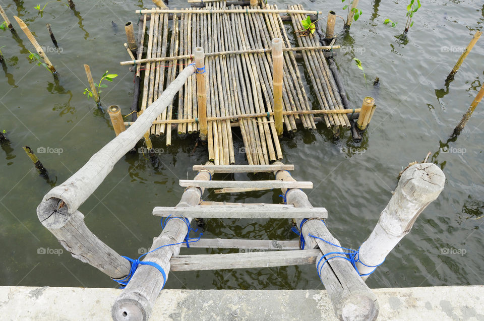Bamboo stairs for climbing mangrove trees on the Gulf Thailand.
