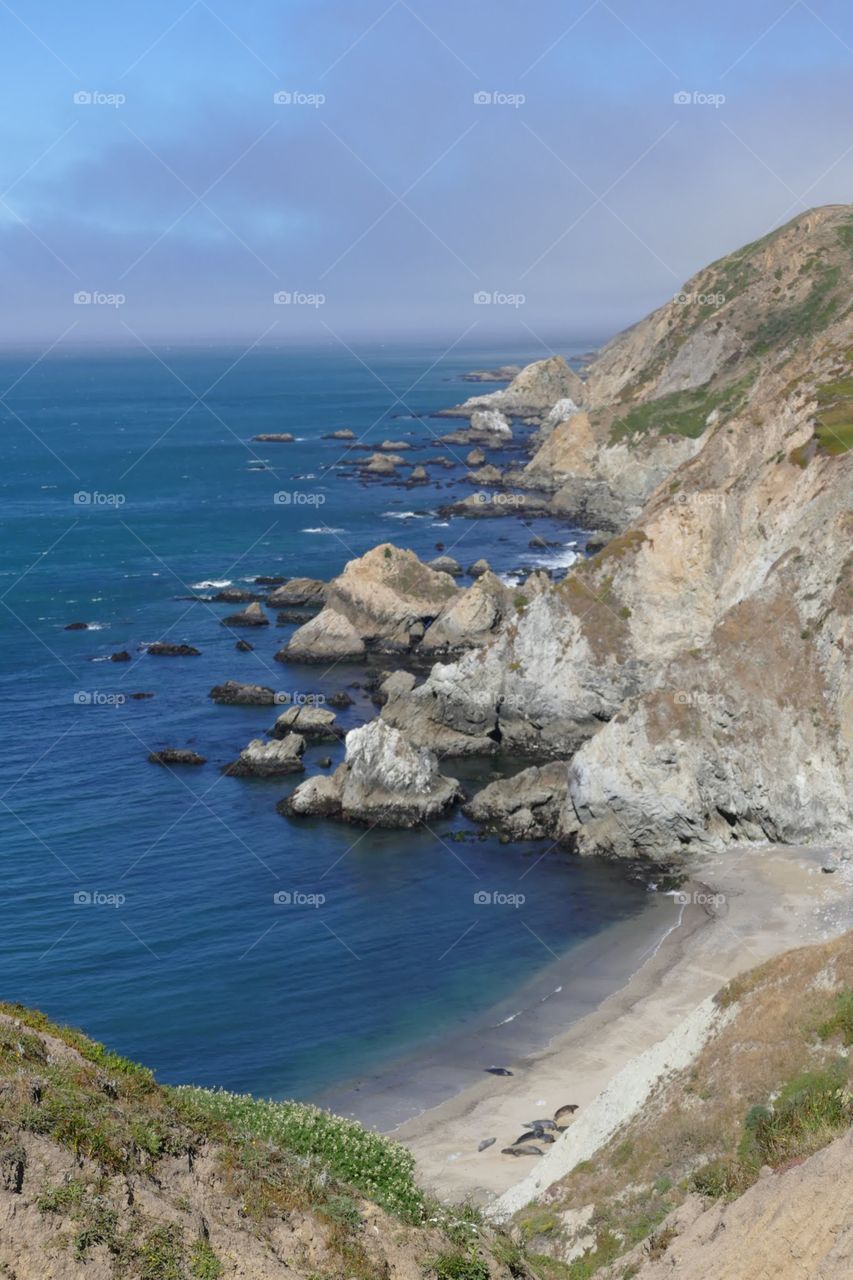Point Reyes National Seashore located on the coast of California.