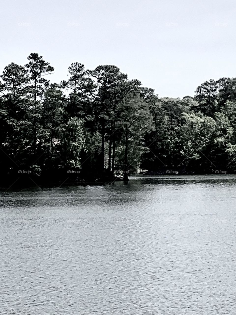 Coastal Virginia 