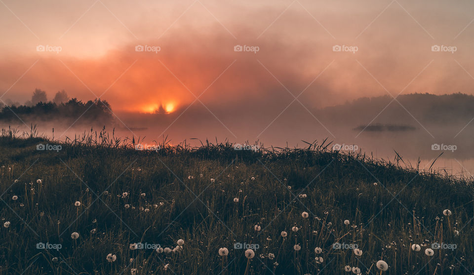 Summer morning sunlight