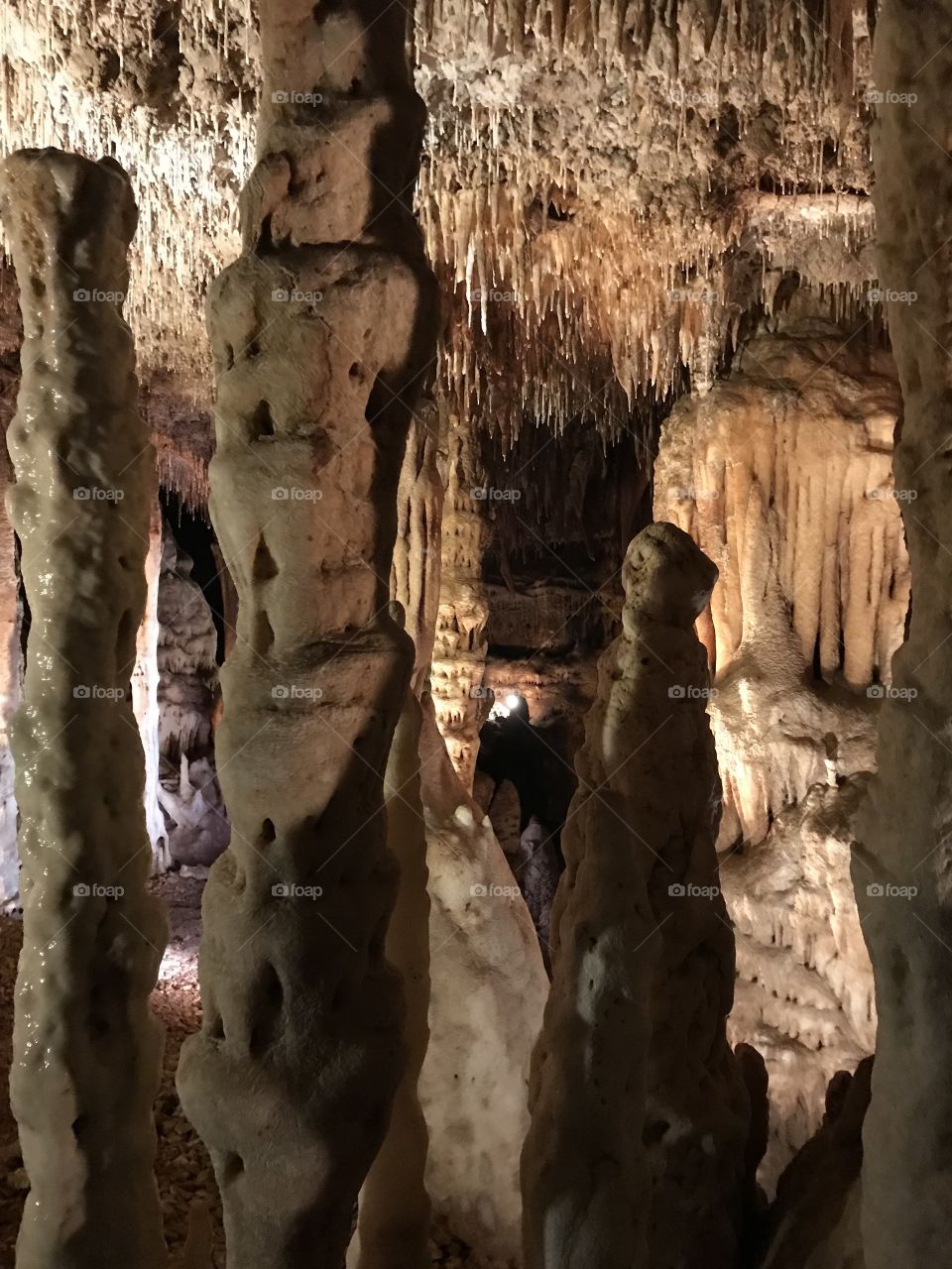 Blanchard Springs Caverns 
