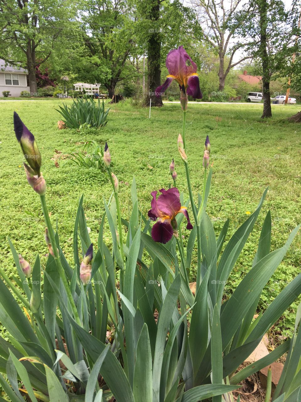 Happy and safe Monday to everyone. Hope you all have a very Blessed day! Make today count.