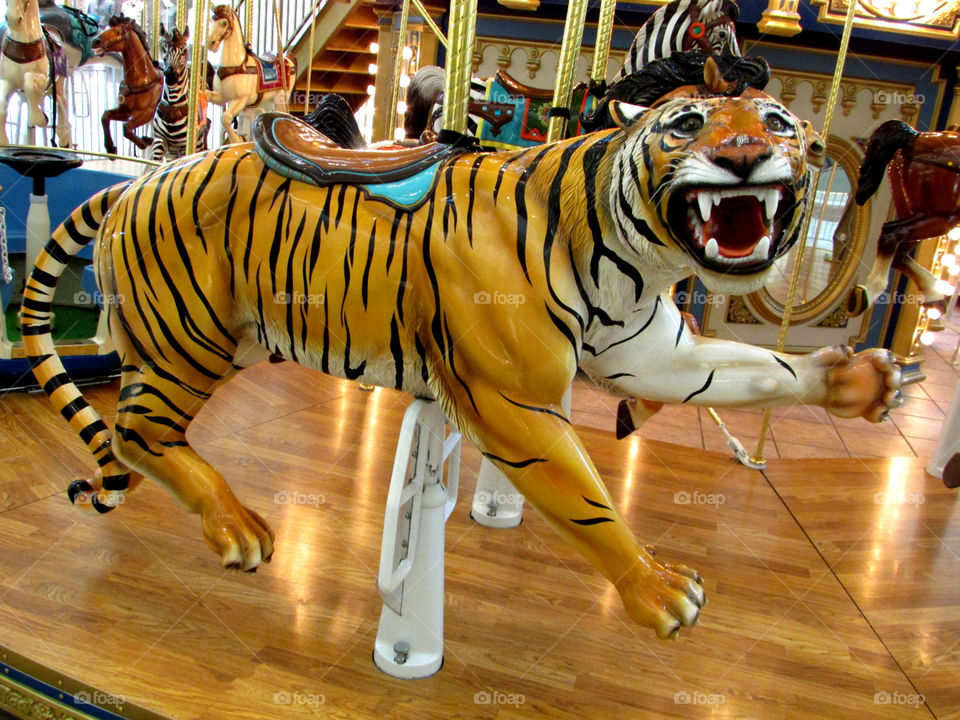 ferris wheel tiger. I took this photo in Fairfield
